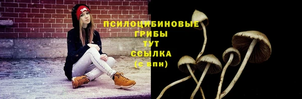 мет Аркадак