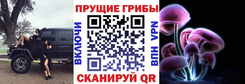 Галлюциногенные грибы GOLDEN TEACHER кракен ССЫЛКА Городец